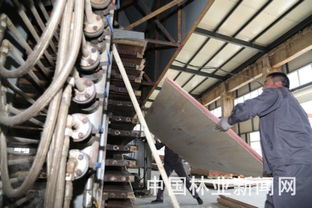 告別斧鋸，森工轉(zhuǎn)型 餐飲服務(wù)開辟綠色新紅利